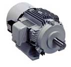 Induction Motor